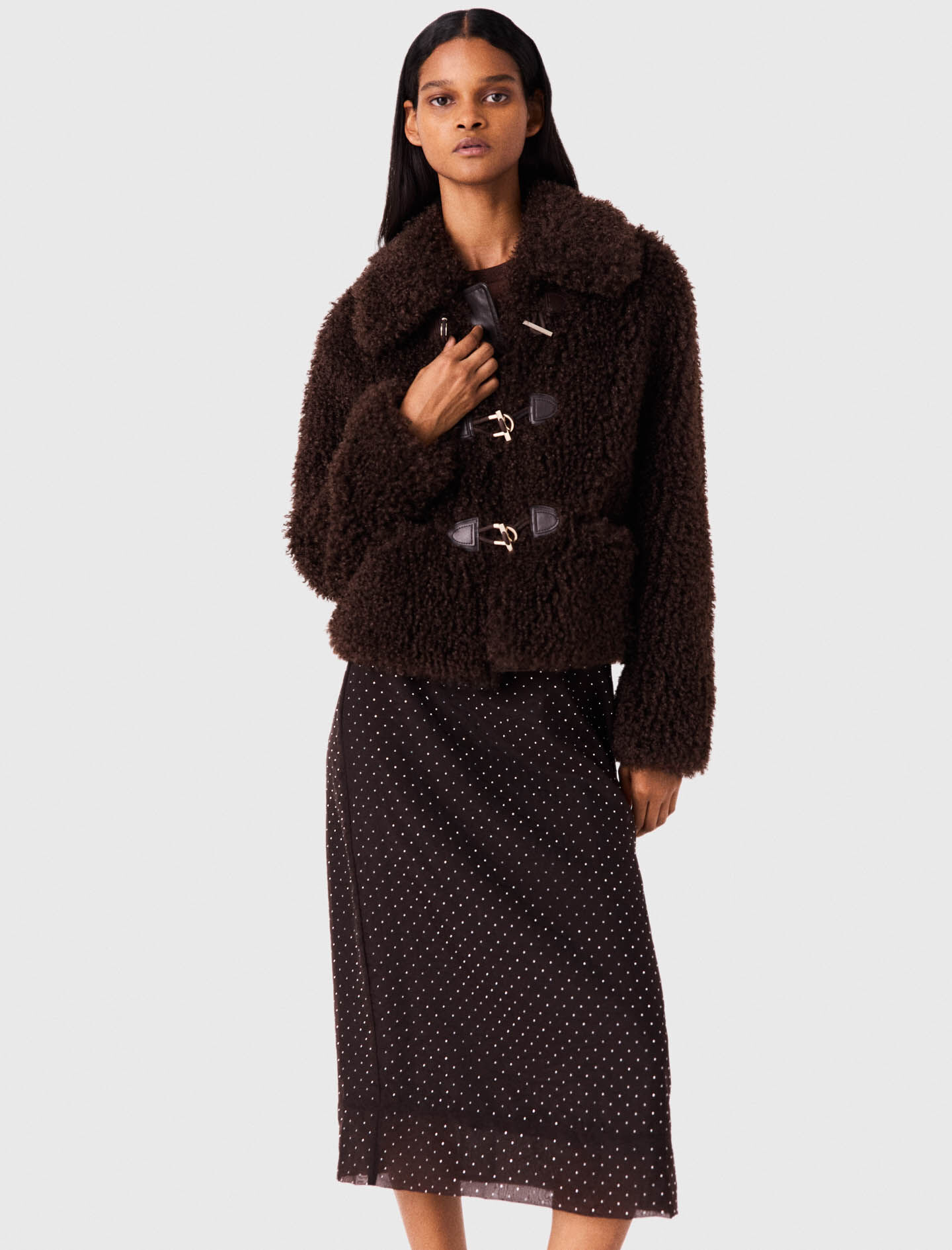 Short Curly Coat