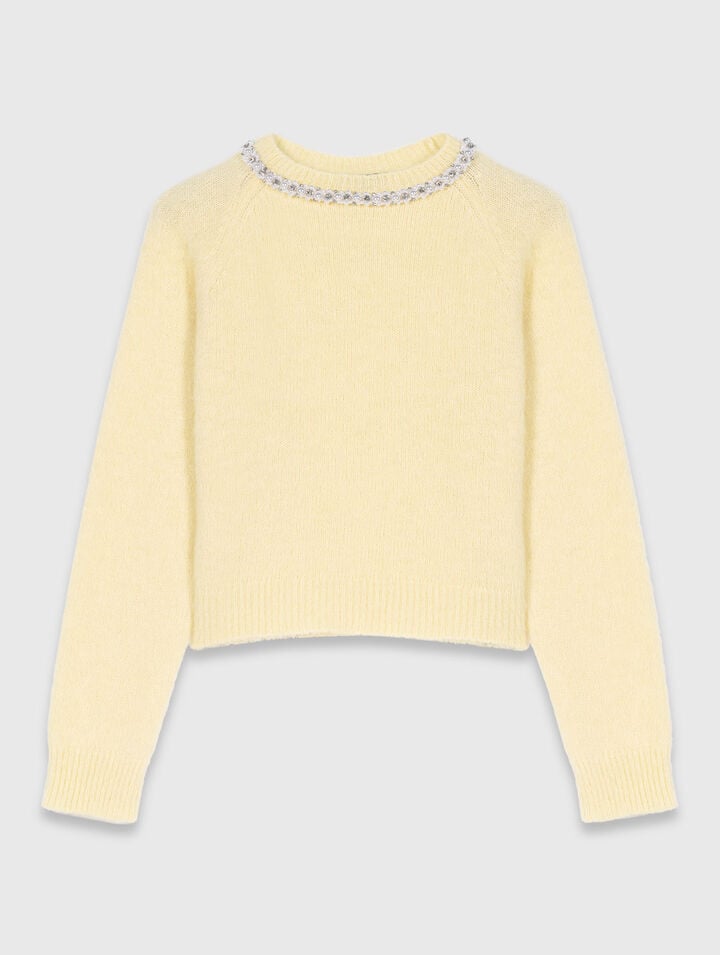 Removable jewel collar jumper